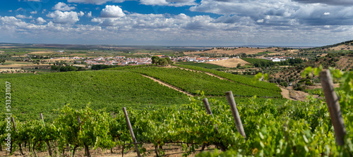 VInhas do alentejo