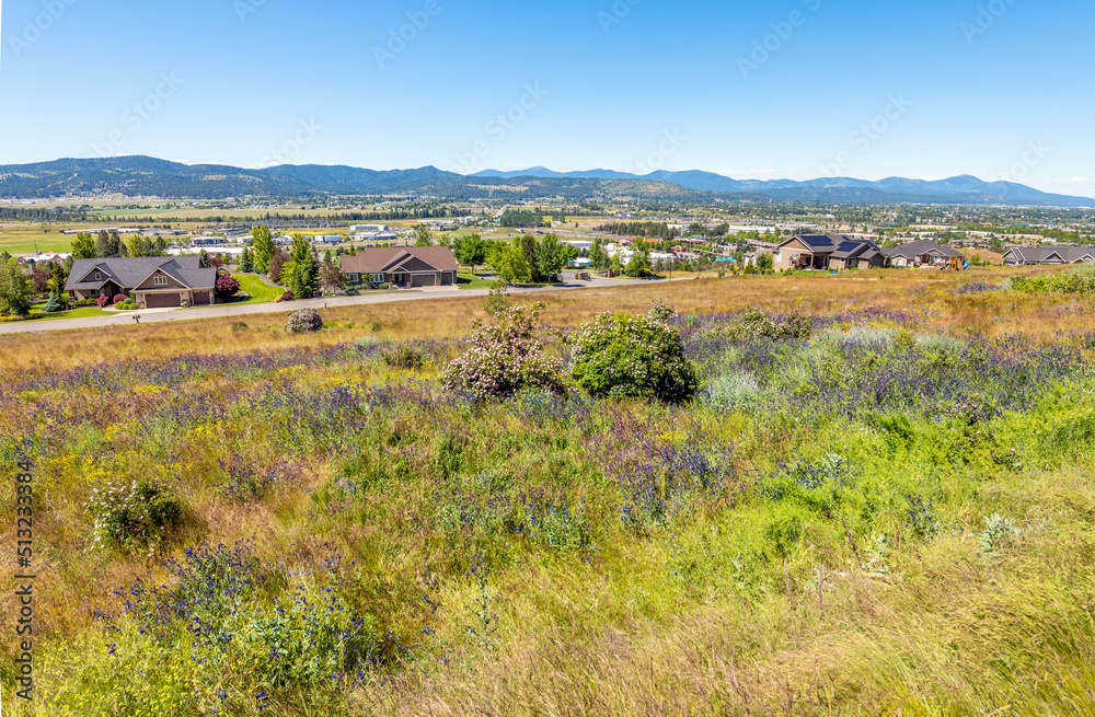 Colorful wildflowers growing on a hill above a hillside subdivision of luxury homes in a Spokane Washington suburb. Colorful wildflowers growing on a hill above a hillside subdivision of luxury homes in a Spokane Washington suburb.