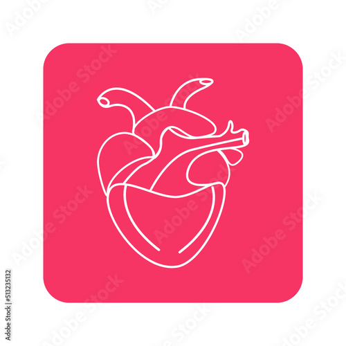 human heart icon