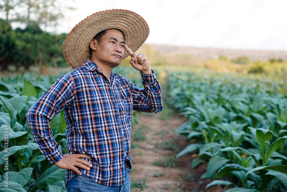 Portrait of Asian man farmer is at garden, wears hat and plaid shirt, thinking something at garden, feels serious. Concept : Farmer think and plan about agriculture. Agricultural occupation.    