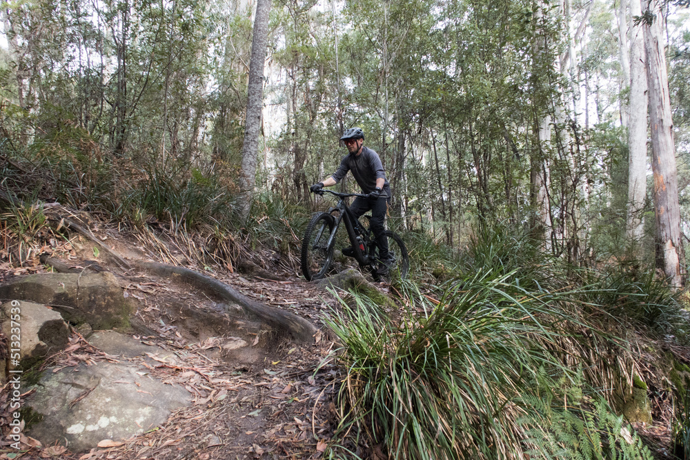 Obraz premium Mountain bikes