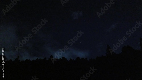 星夜の森