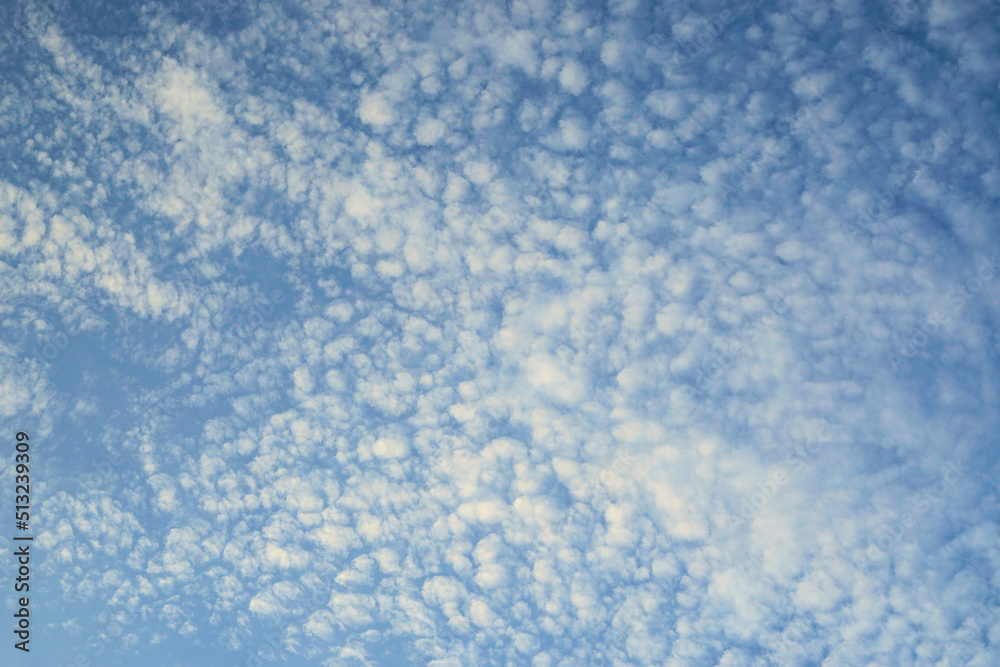 Fototapeta premium 青空と雲