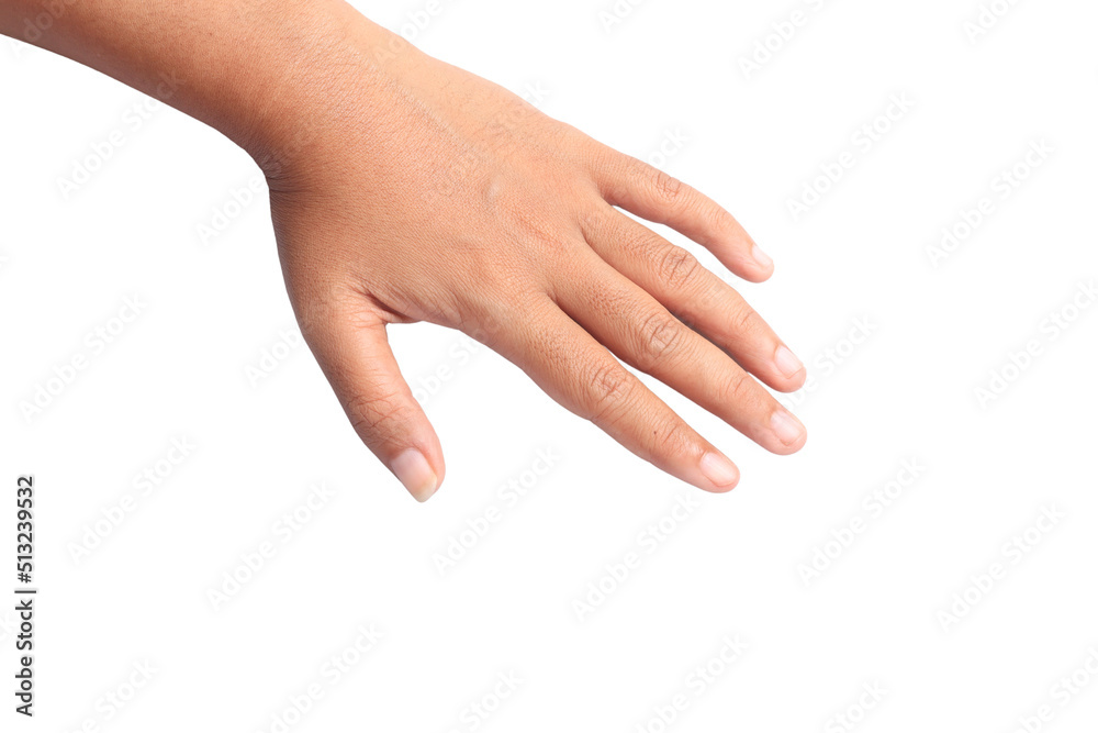 Asian woman's hands on a white background