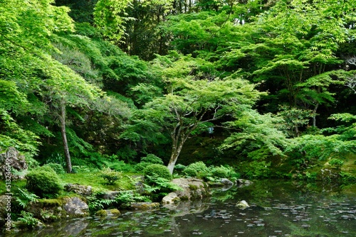 Japanese moss and pond in Kyoto