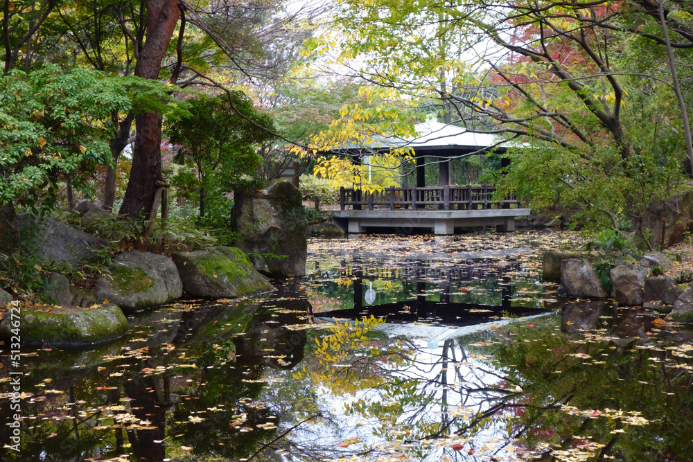 水辺の森公園、池のある木々や葉のある美しい秋の風景