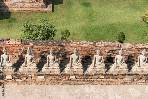 many buddha statues