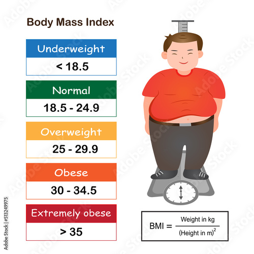 Infographic of body mass index range show weight status from underweight to extremely obese with BMI calculator and cartoon obese person.Medical healthcare concept.Vector.Illustration. photo
