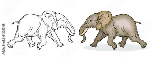 Fototapeta Naklejka Na Ścianę i Meble -  Animals. Black-and-white and color image of a large elephant, coloring book for children.
 Vector image.