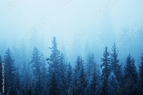 autumn fog landscape forest mountains, trees view mist © kichigin19