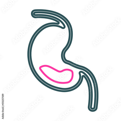 Stomach vector icon, digestion sign
