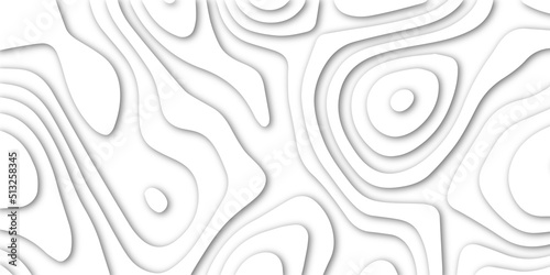 Abstract white papercut background with waves. Abstract papercut and multi layer cutout geometric pattern on vector, Abstract soft white background with waves, textured Papercut