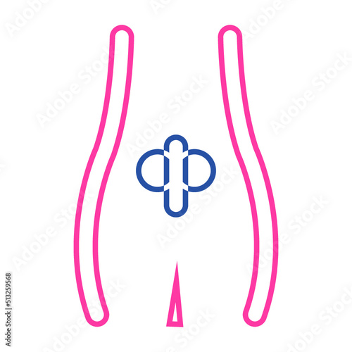 Male, organ, penis, reproduction icon