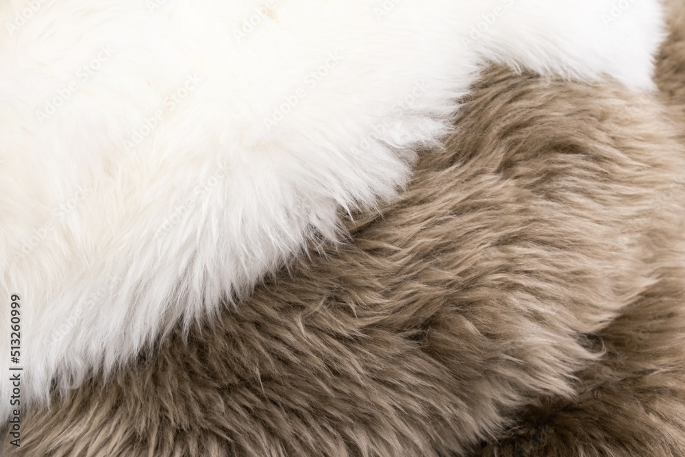 Close-up fragment wool. Wool texture. Natural sheepskin rug background. Close-up fragment wool. Wool texture. Natural sheepskin rug background.