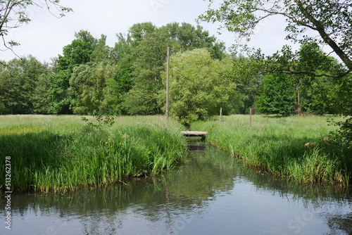 Landschaft im Spreewald