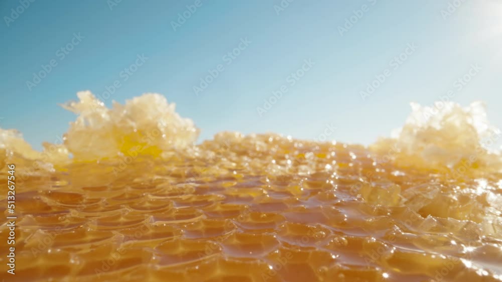 Golden honey in a honeycomb against the background of a blue sky. Dolly slider extreme close-up. Laowa Probe. Slow mo.