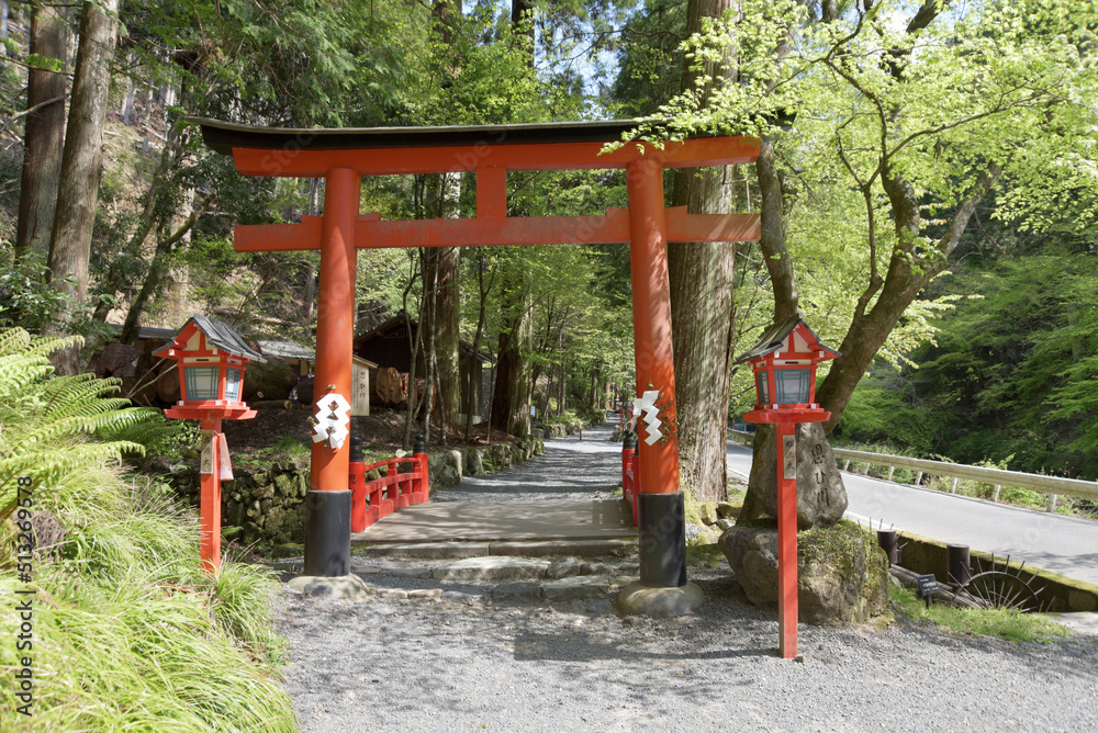 貴船神社 思ひ川の橋と鳥居 京都市左京区 貴船神社 思ひ川の橋と鳥居 京都市左京区