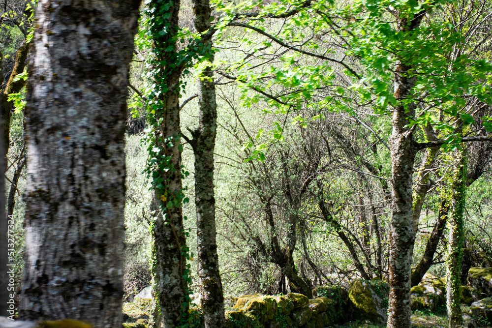 Serra da Estrela Portugal Nature