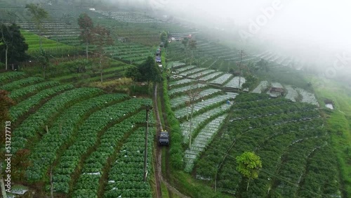 Landscape view of the village in Indonesia and vegetable plantations