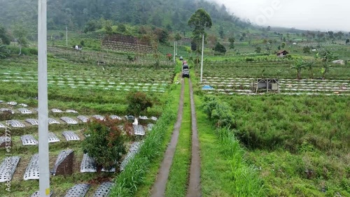 Landscape view of the village in Indonesia and vegetable plantations