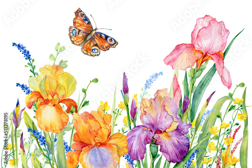 Watercolor summer floral background for cards and invitations .Delicate iris flowers and butterflies © mitrushova