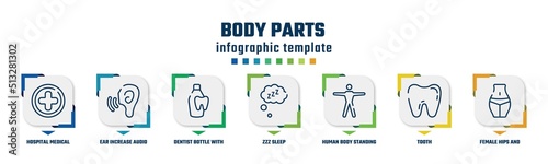 body parts concept infographic design template. included hospital medical, ear increase audio, dentist bottle with liquid, zzz sleep, human body standing, tooth, female hips and waist icons and 7