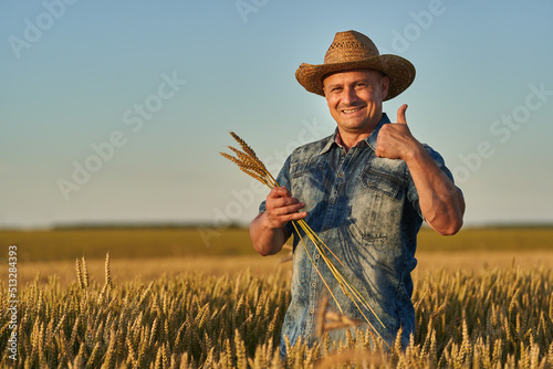 Farmer at sunset in the wheat field at sunset