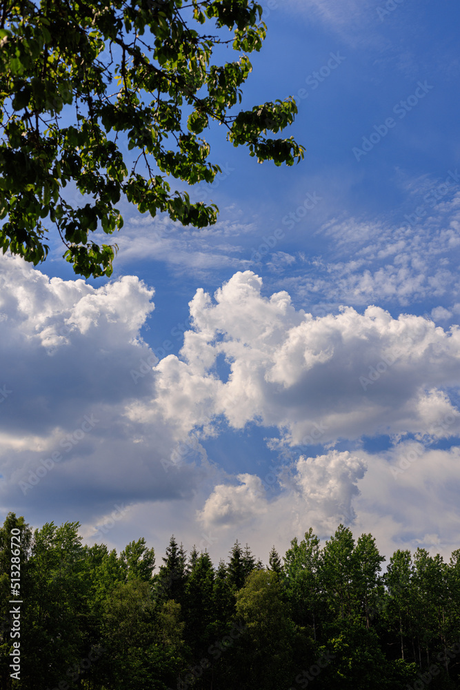 Obraz premium sky and clouds