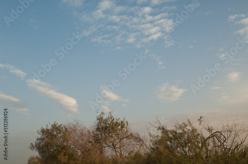 Trees and clouds in Oiseaux du Djoudj National Park. Saint-Louis. Senegal.