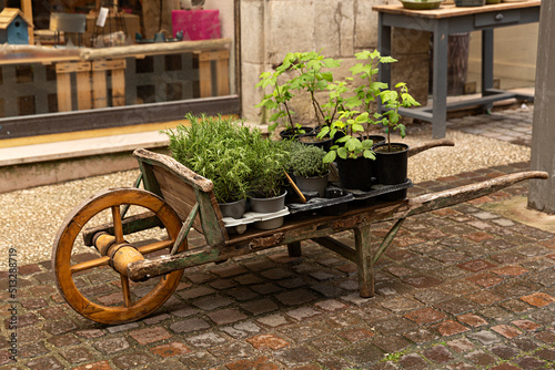 Carretilla antigua de madera con plantas en la calle.