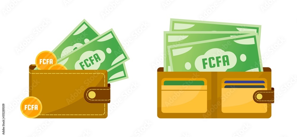 Wallet with Central African CFA Franc Money Wallet with Central African CFA Franc Money