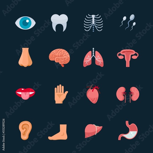 Human Anatomy and Internal Organ Icons with Black Background