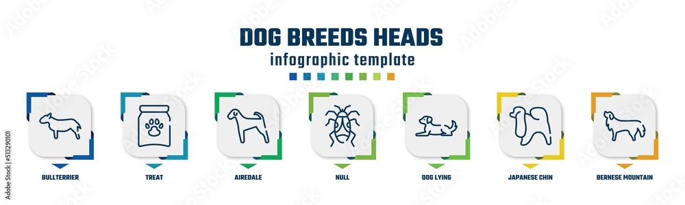 dog breeds heads concept infographic design template. included bullterrier, treat, airedale, null, dog lying, japanese chin, bernese mountain dog icons and 7 option or steps.