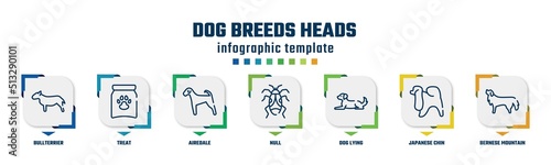 dog breeds heads concept infographic design template. included bullterrier, treat, airedale, null, dog lying, japanese chin, bernese mountain dog icons and 7 option or steps.