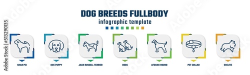 dog breeds fullbody concept infographic design template. included shar pei, dog puppy, jack russell terrier, dogs, afghan hound, pet collar, sheltie icons and 7 option or steps.