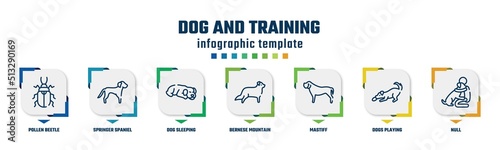 dog and training concept infographic design template. included pollen beetle, springer spaniel, dog sleeping, bernese mountain, mastiff, dogs playing, null icons and 7 option or steps.