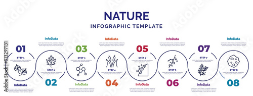 infographic template with icons and 8 options or steps. infographic for nature concept. included poplar leaf, chemical structure, reed bed, falling debris, larch leaf, bilberry leaf, orbicular