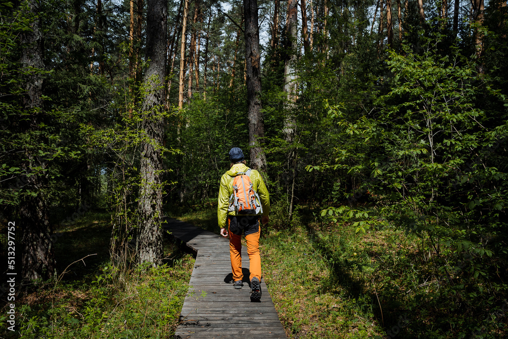 Obraz premium Traveling through the forest with a backpack, hiking in the park along the trail, a tourist route in the taiga, a guy goes hiking, a view from behind a tourist, orange pants.