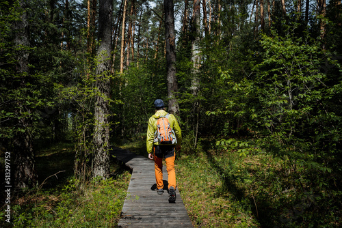 Traveling through the forest with a backpack, hiking in the park along the trail, a tourist route in the taiga, a guy goes hiking, a view from behind a tourist, orange pants.
