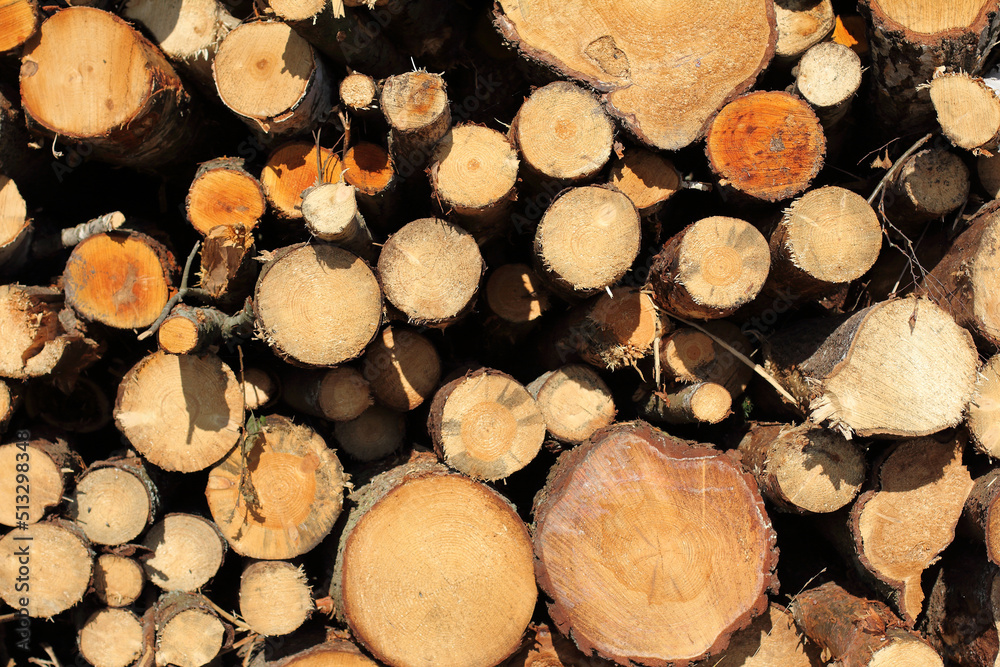 pile of sawn wooden parts of trees, different sizes. timber harvesting pile of sawn wooden parts of trees, different sizes. timber harvesting