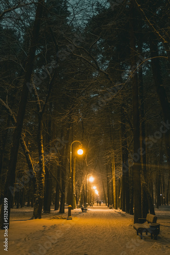 night in the park © bykot