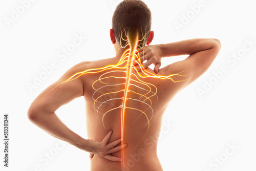 Neck pain, nervous system, human anatomy, spine and neck nerves