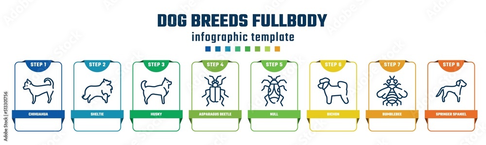 dog breeds fullbody concept infographic design template. included chihuahua, sheltie, husky, asparagus beetle, null, bichon, bumblebee, springer spaniel icons and 8 options or steps. dog breeds fullbody concept infographic design template. included chihuahua, sheltie, husky, asparagus beetle, null, bichon, bumblebee, springer spaniel icons and 8 options or steps.