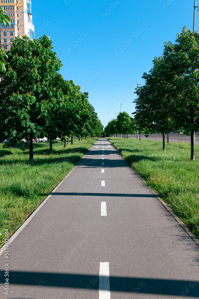 Bicycle path through the park with green trees