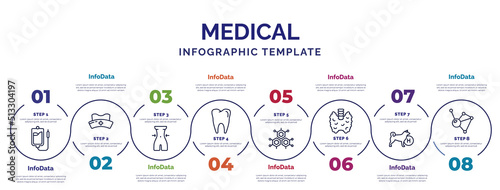 infographic template with icons and 8 options or steps. infographic for medical concept. included perfusion, nutrionist, molar tooth, molecular structure, thyroid gland, canine, molecular