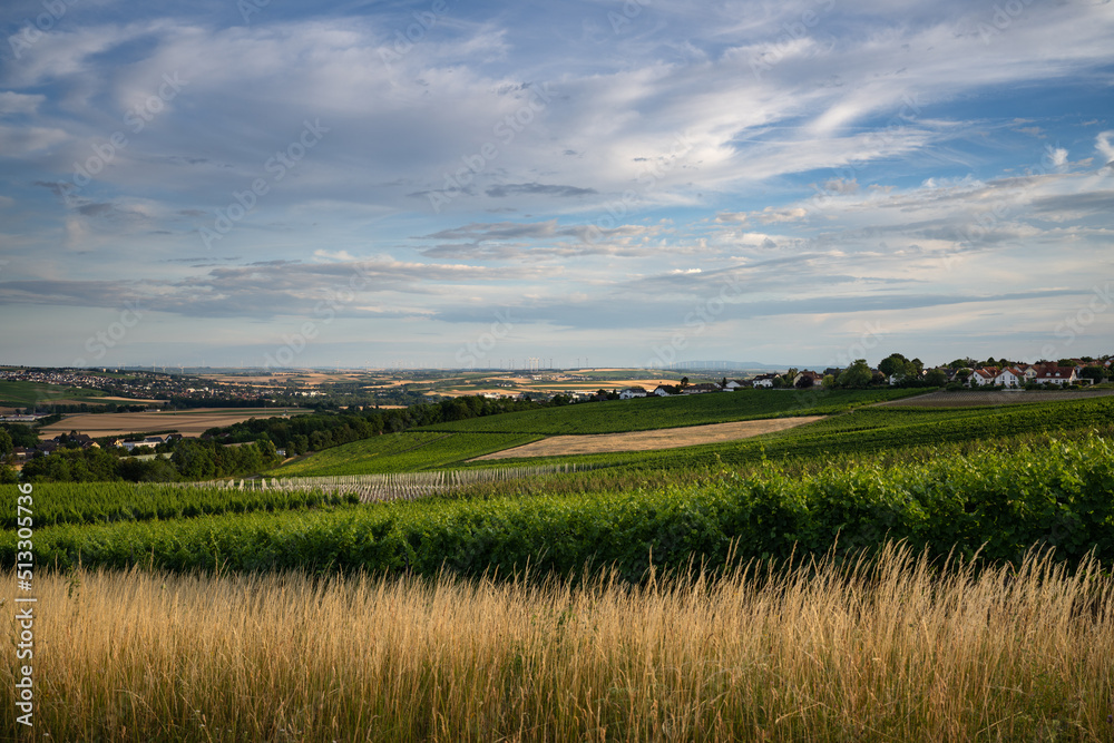 Ober-Olm Blick Richtung Südwesten bis zum Donnersberg, Juni 2022 Ober-Olm Blick Richtung Südwesten bis zum Donnersberg, Juni 2022