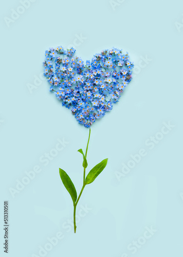 Flower in the shape of a heart of blue flowers. Love concept. Flat lay.