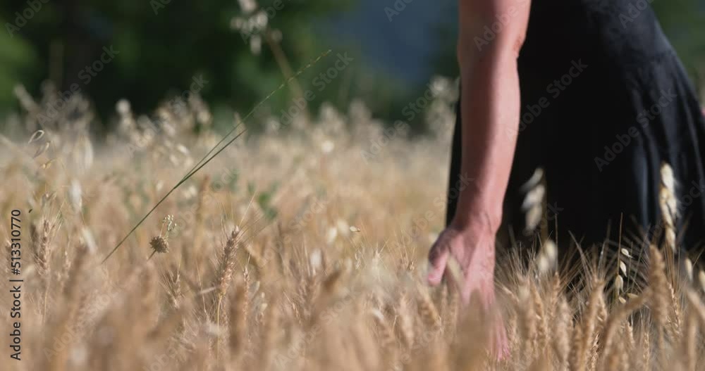BELLA DONNA NEL CAMPO DI GRANO