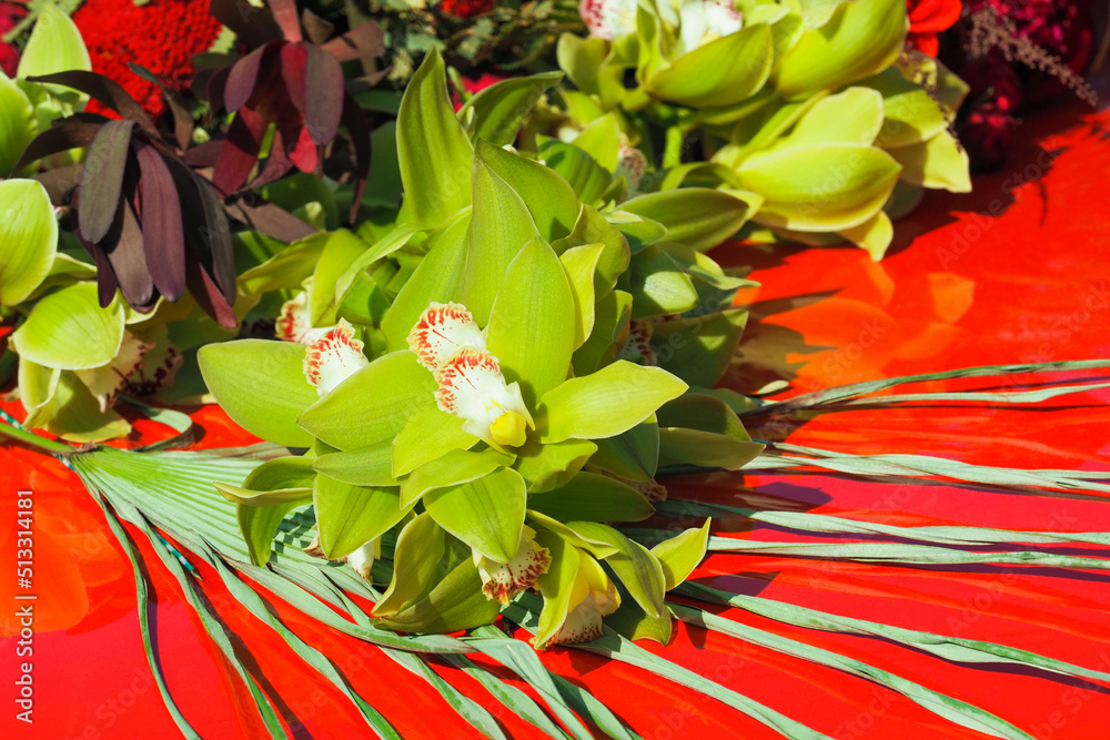 Obraz premium Green Cymbidium Orchid flowers, Leucadendron Jester, Banksia red. Beautiful bouquet of exotic tropical flowers on a red background. Natural flowers as floristic decoration wallpaper or greeting card