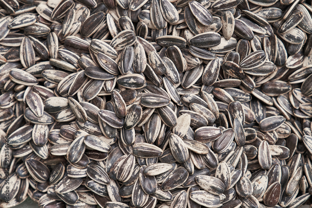 Beautiful sunflower seeds image Beautiful sunflower seeds image